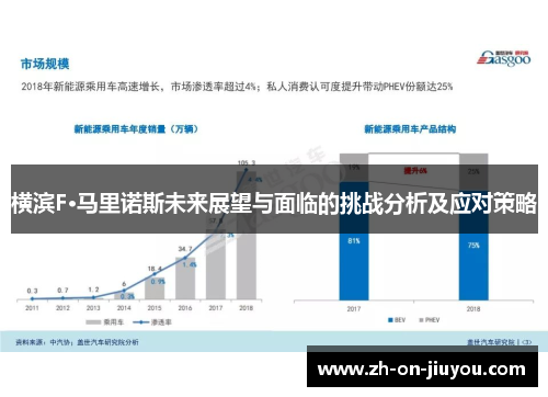 横滨F·马里诺斯未来展望与面临的挑战分析及应对策略 横滨F·马里诺斯未来展望与面临的挑战分析及应对策略