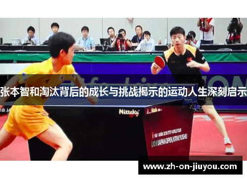 张本智和淘汰背后的成长与挑战揭示的运动人生深刻启示